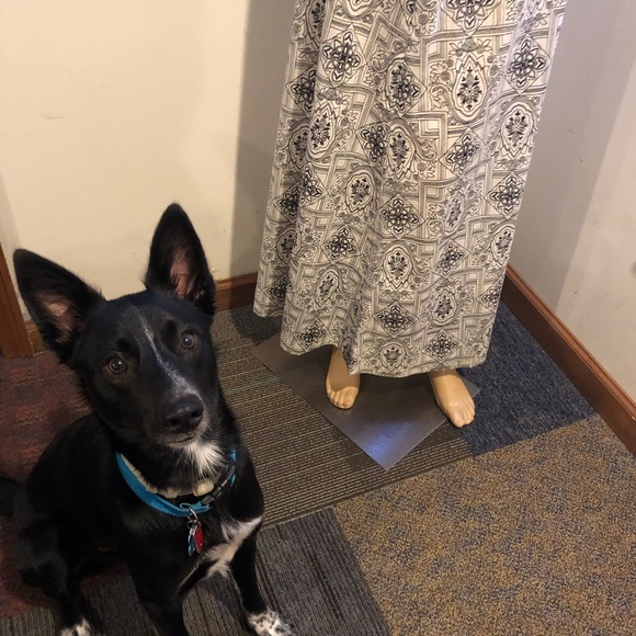 Meet your Posher, Kylie - Picture 6 of 6